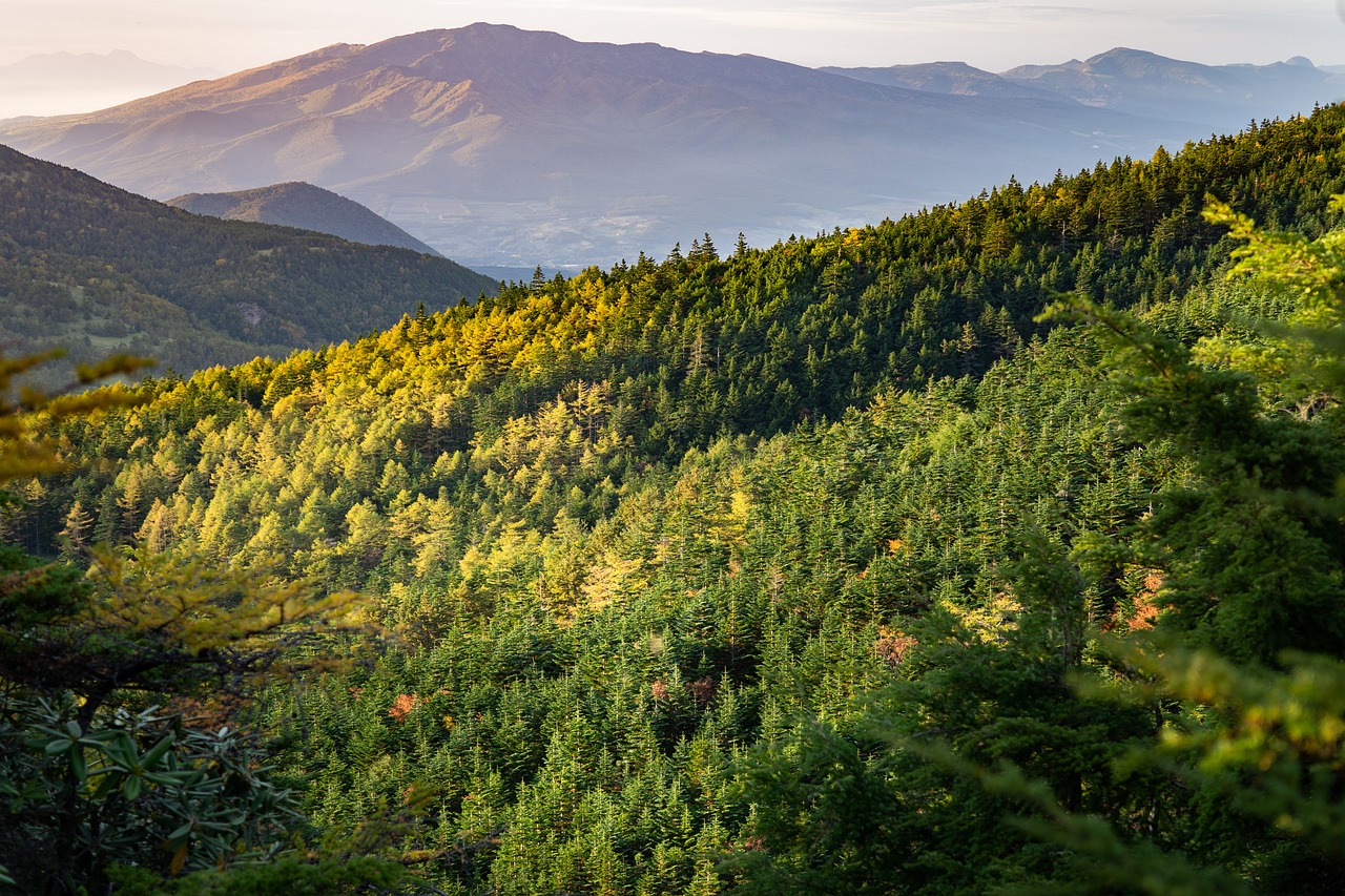 The Best Scenic Hikes in the Adirondacks